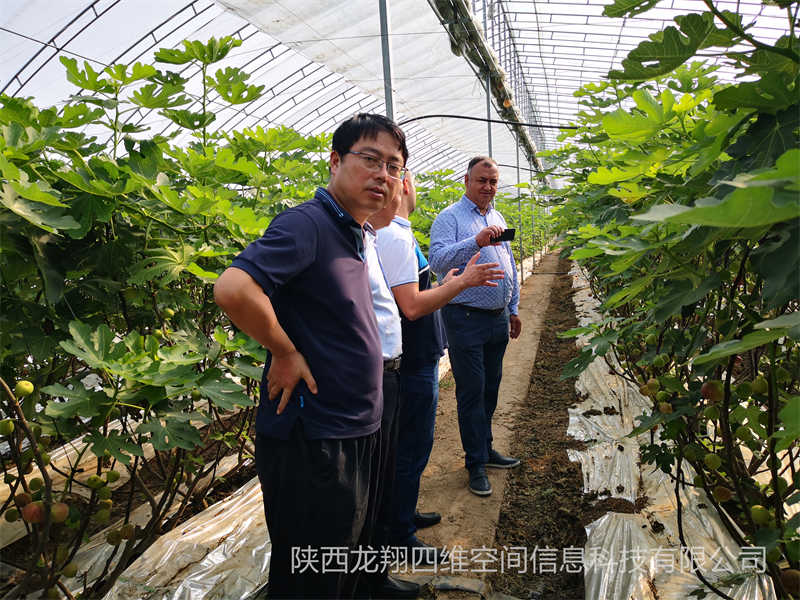 2019年董事长带领外国友人在杨凌考察农业